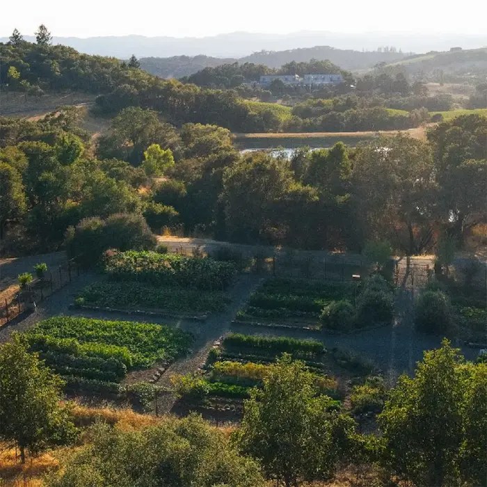 culinary garden