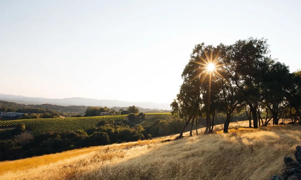 sustainable farming